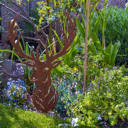 Tante Else شقة بودنفيردر