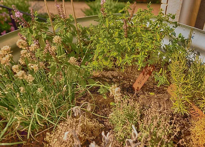 Tante Else * Bodenwerder